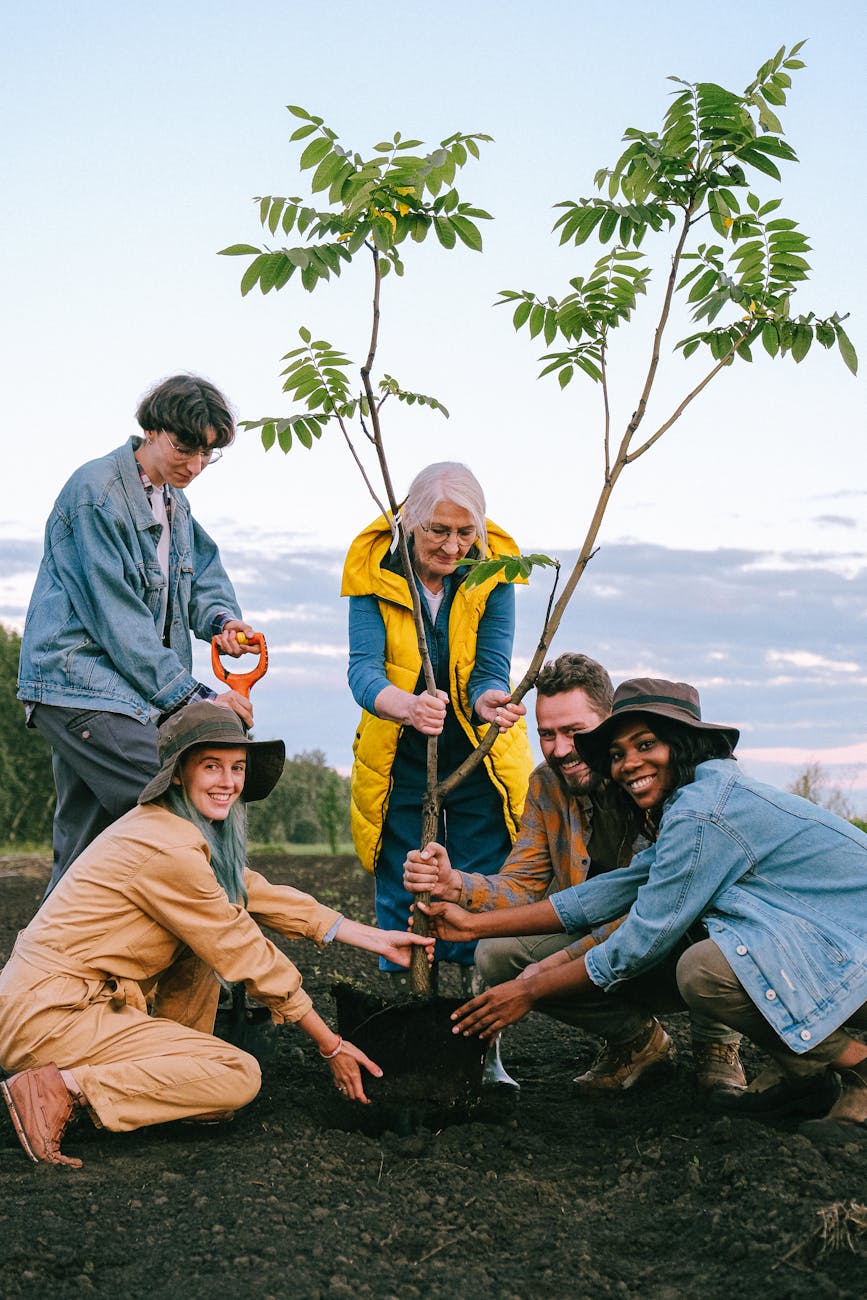 4. Social Impacts of&nbsp;Gardening